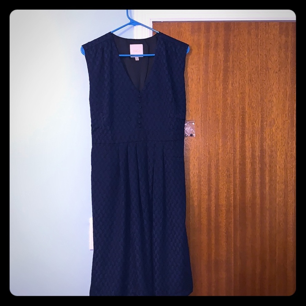 ModCloth Navy Blue Dress with chevron pattern